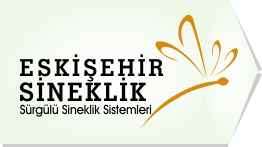 Eskişehir Sineklik